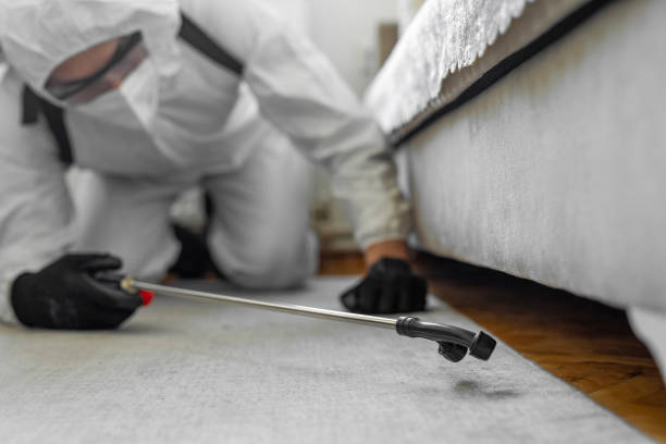 Professional Termite Control technician working in Hewitt, NJ