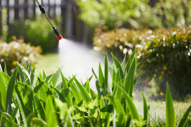 24/7 Emergency Termite Control experts in Hewitt, NJ